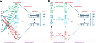 Corrigendum: MultiCapsNet: A General Framework for Data Integration and Interpretable Classification